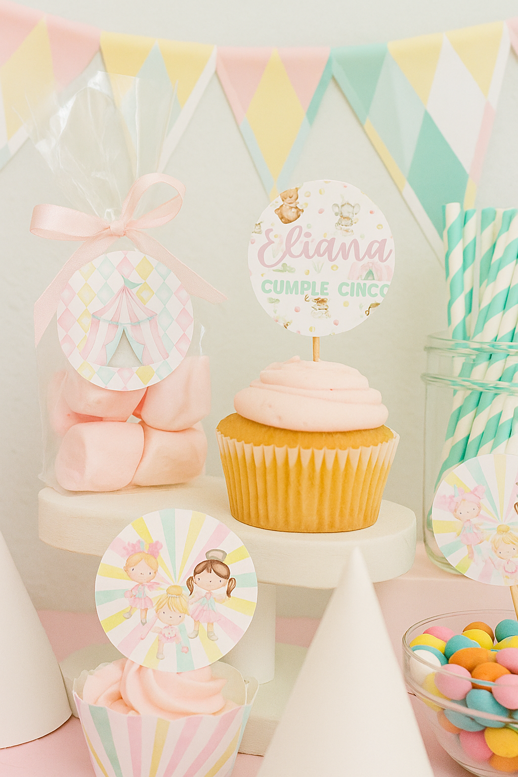 CIRCO ROSA - Imagen 4